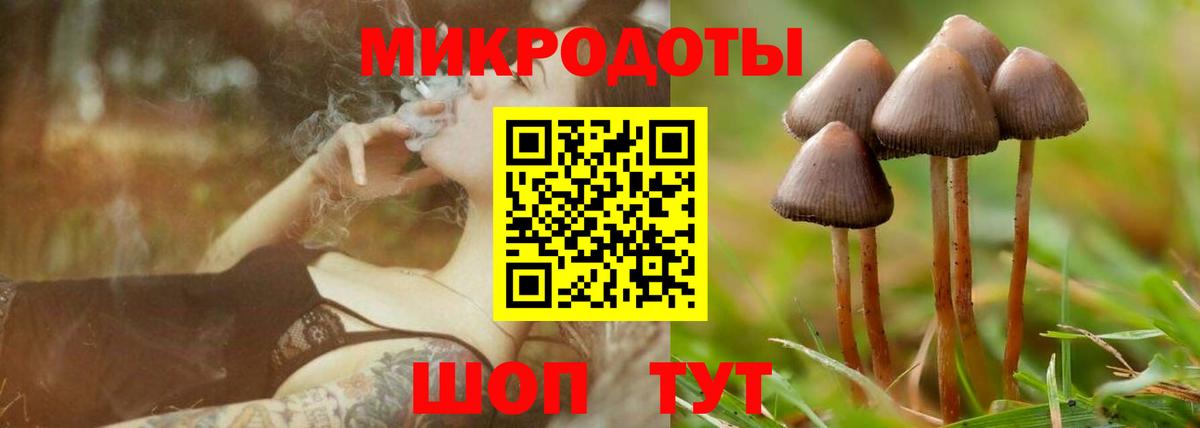 Псилоцибиновые грибы GOLDEN TEACHER Коркино